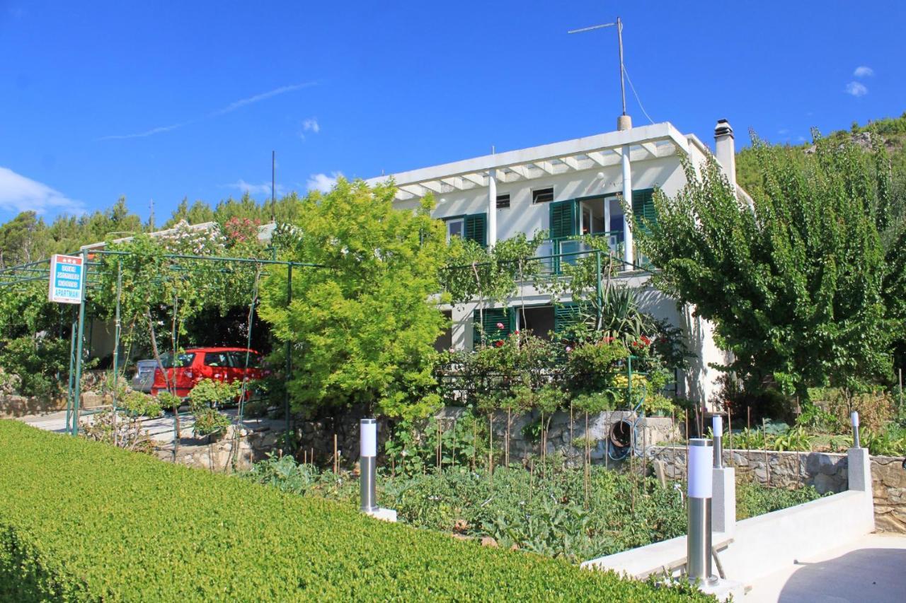 Apartments And Rooms With Parking Space Tucepi, Makarska - 6901 Dış mekan fotoğraf